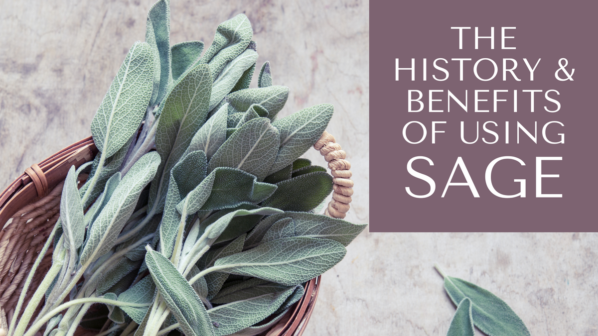 The Historical Use & Benefits of Sage Pretty Spirits